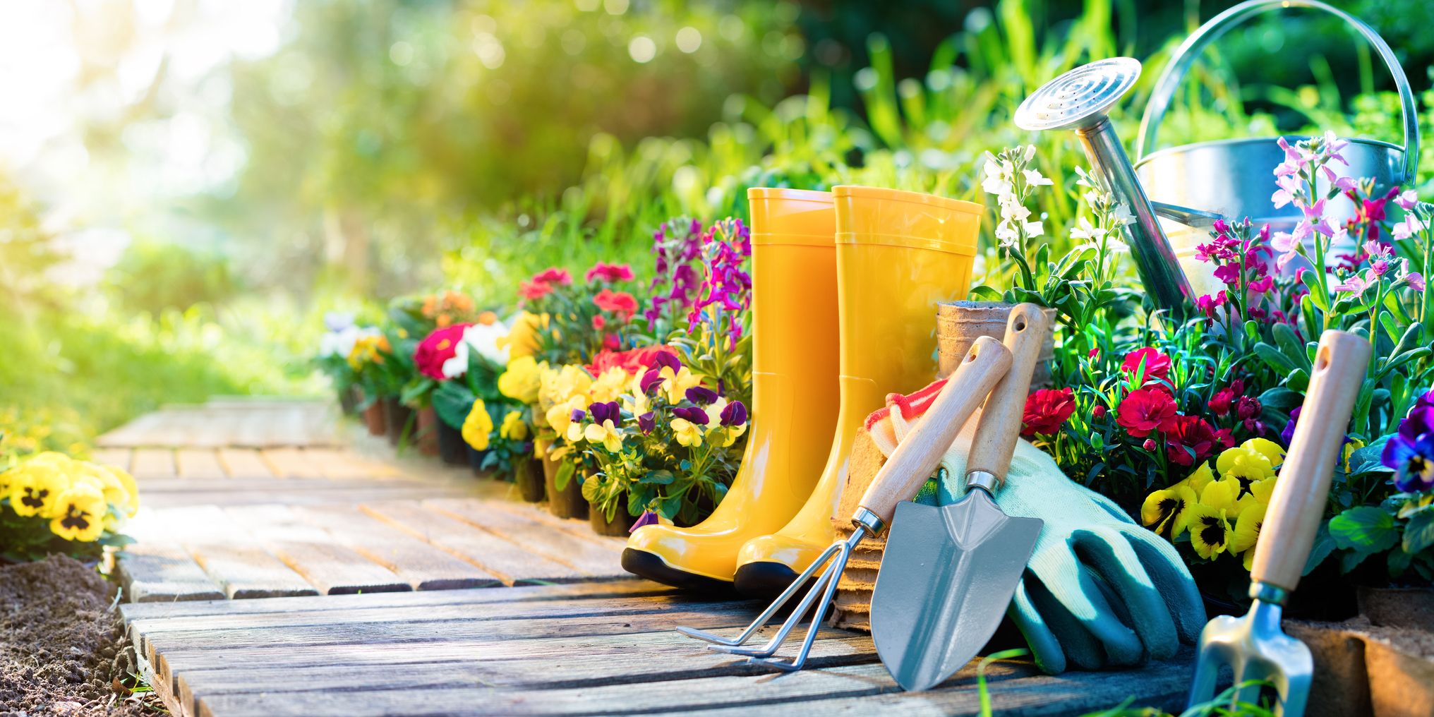 How to Maintain Your Garden